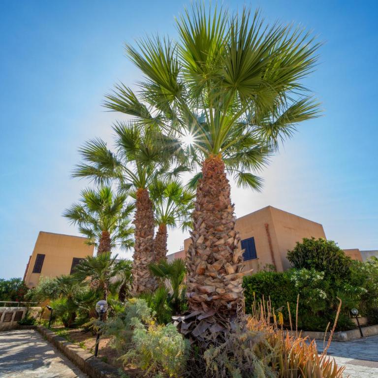 Elimi Favignana Apartments - Residence in città - Appartamento con 1 Camera da Letto - 35