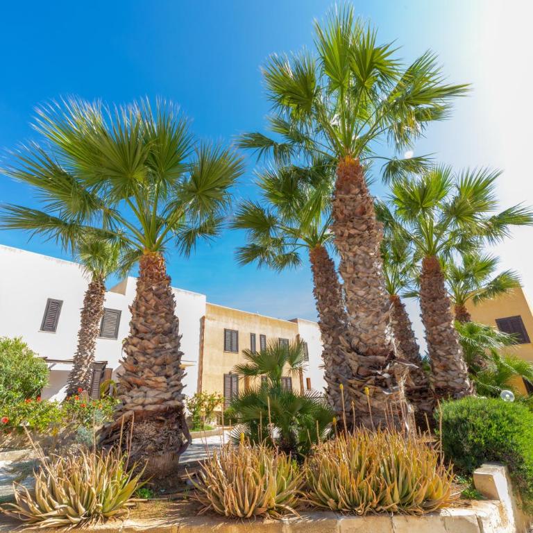 Elimi Favignana Apartments - Residence in città - Appartamento con 1 Camera da Letto - 15