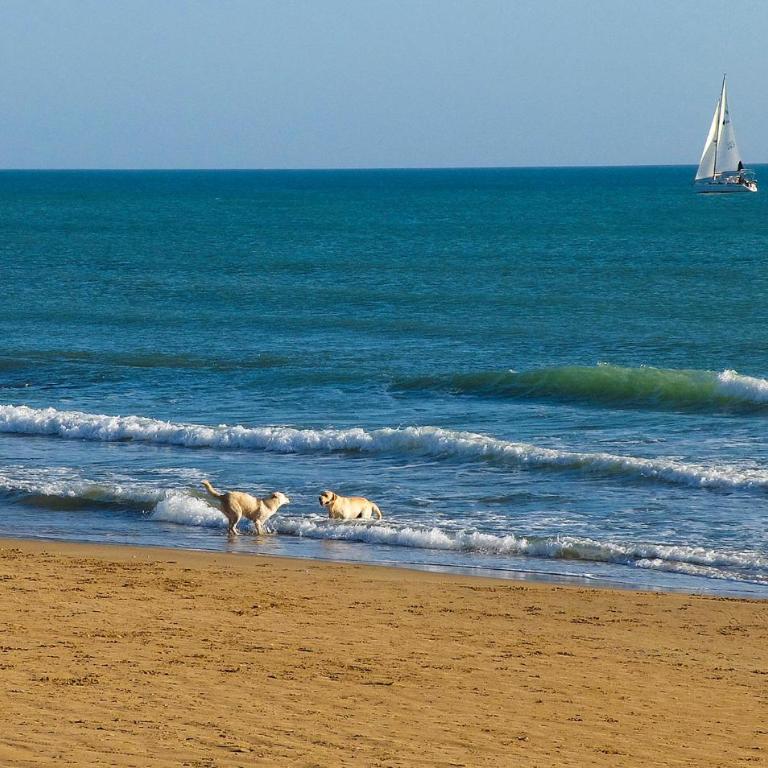 Pet Friendly Home In Ragusa - Casa Vacanza con 6 Camere da Letto - 37