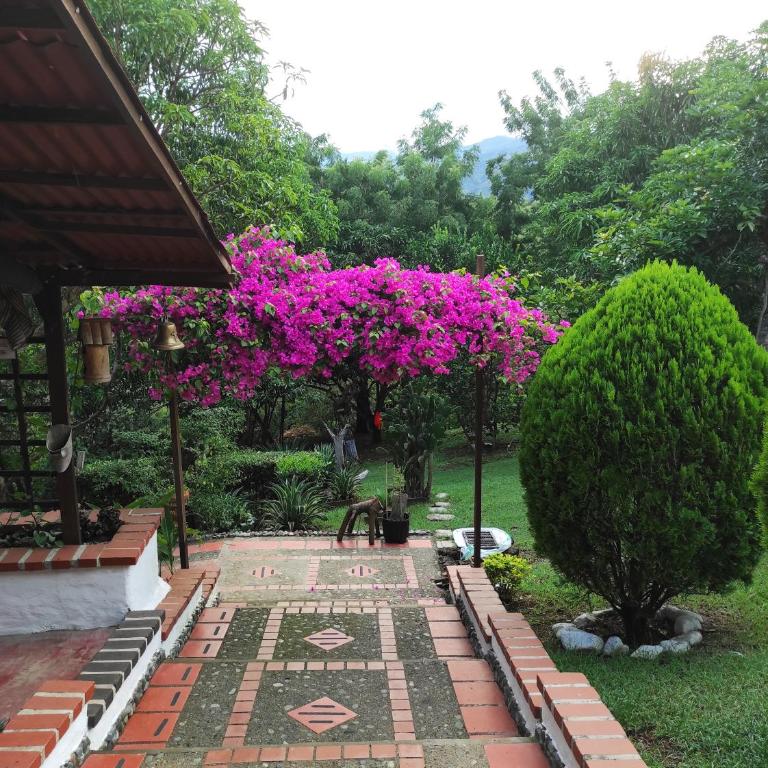 Oasis Natural - Casa - 13