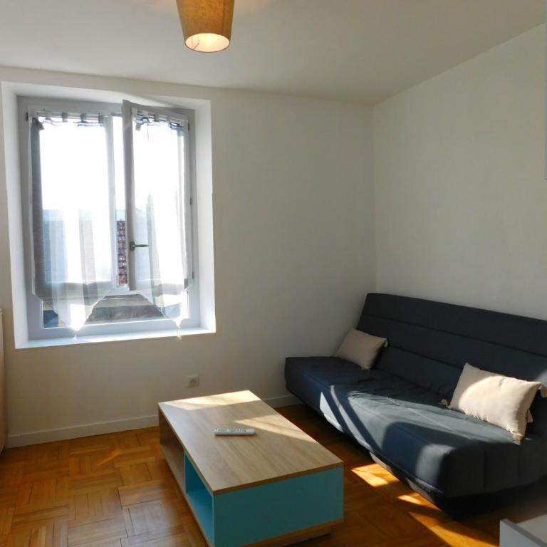 Appartement situé en centre ville de Saint Aignan - Apartment mit 1 Schlafzimmer - 5