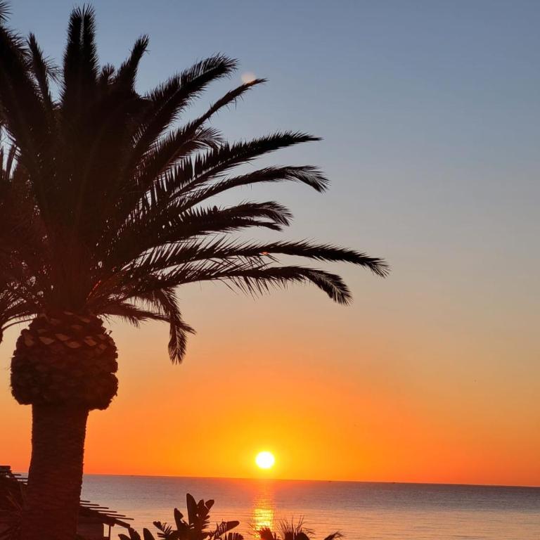 Las Mimosas, La Cala de Mijas - Apartamento de 2 dormitorios - 3