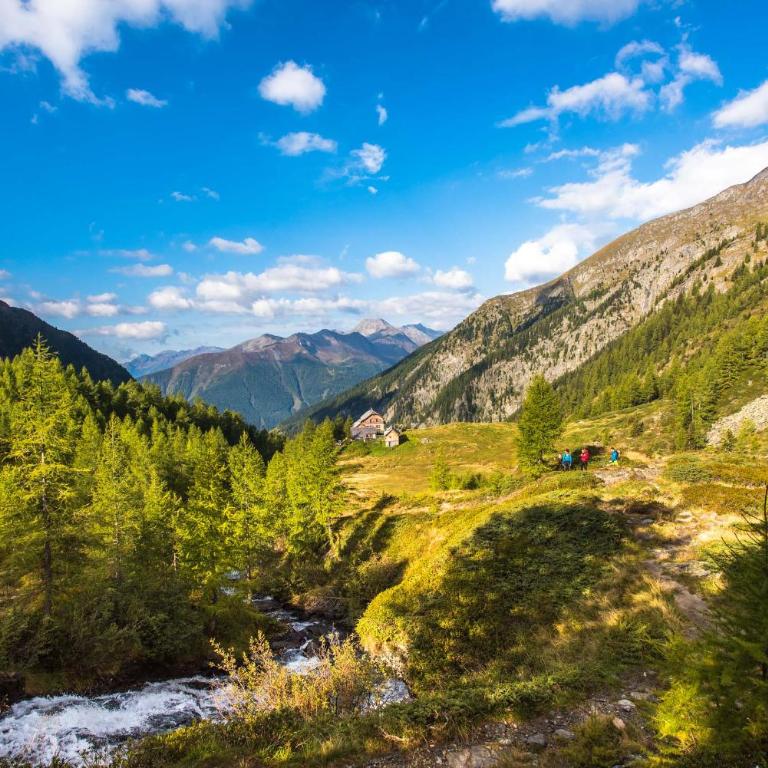 Ferienwohnungen Appartementhaus Hohe Tauern - Appartamento con 1 Camera da Letto - 5