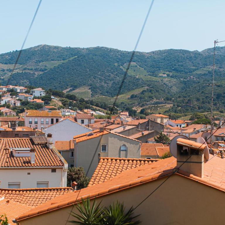 Regina's Banyuls - Les Hibiscus - Villa 3 Chambres - 28