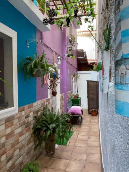 Casa Dionea, Puerto De La Cruz - Casa de 2 dormitorios - 8