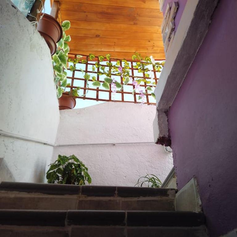 Casa Dionea, Puerto De La Cruz - Casa de 2 dormitorios - 28
