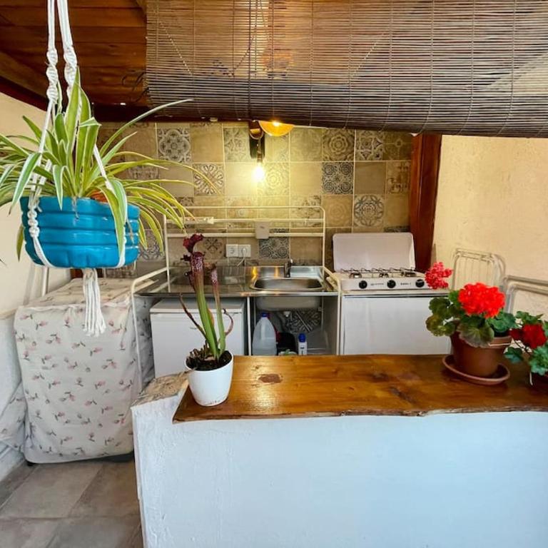 Casa Dionea, Puerto De La Cruz - Casa de 2 dormitorios - 45