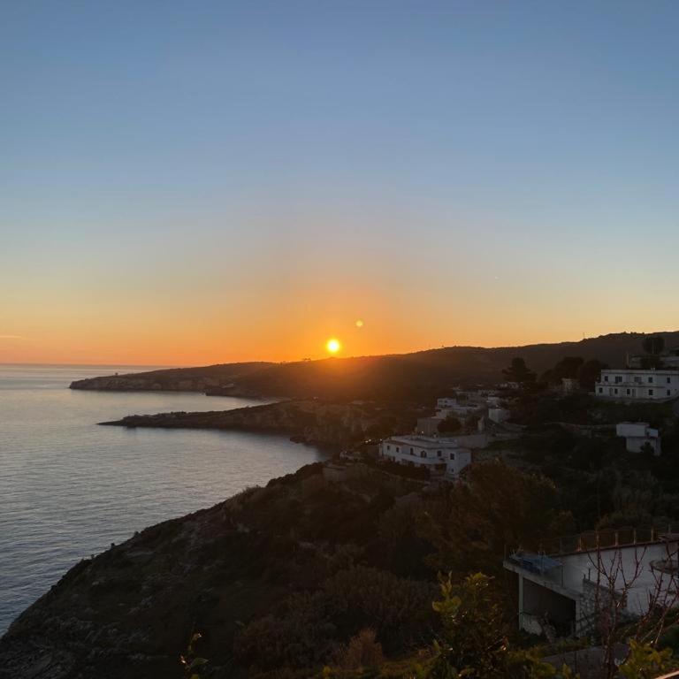 Casa sul mare - Appartamento con 1 Camera da Letto - 9