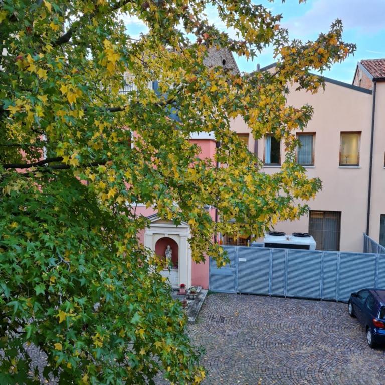 Casa Santa Caterina e Sant Antonio - Monolocale con Vista Giardino - 9