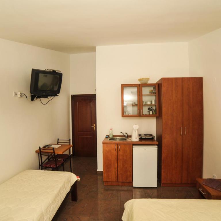 Mijovic Apartments - Studio sa Pogledom na Planinu - 2