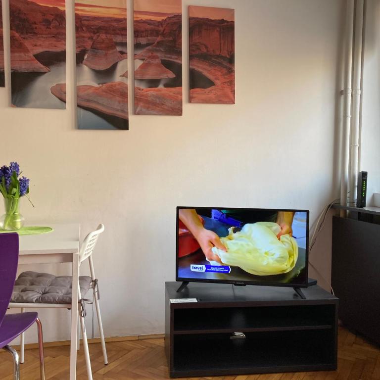 Belgrade Central Suite - Apartman sa 1 Spavaćom Sobom - 14