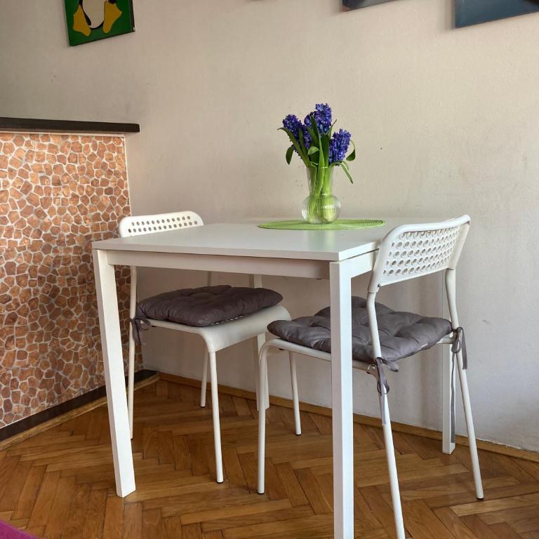 Belgrade Central Suite - Apartman sa 1 Spavaćom Sobom - 13