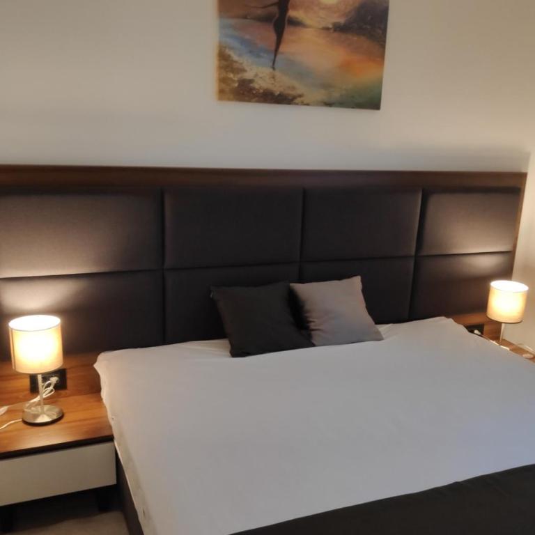 Pahulja Kop 48 Zoned II Kopaonik - Appartement 1 Chambre - 15