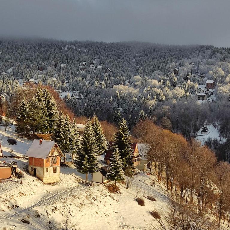 Pahulja Kop 48 Zoned II Kopaonik - Appartement 1 Chambre - 62