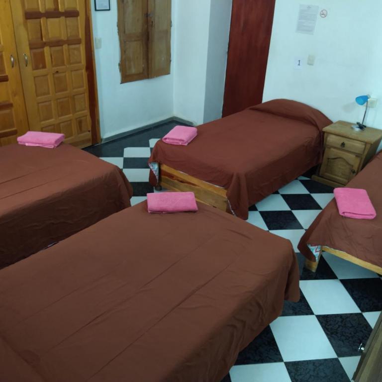 Casa Lupita Hostel - Bed in 4-Bed Mixed Dormitory Room - 5
