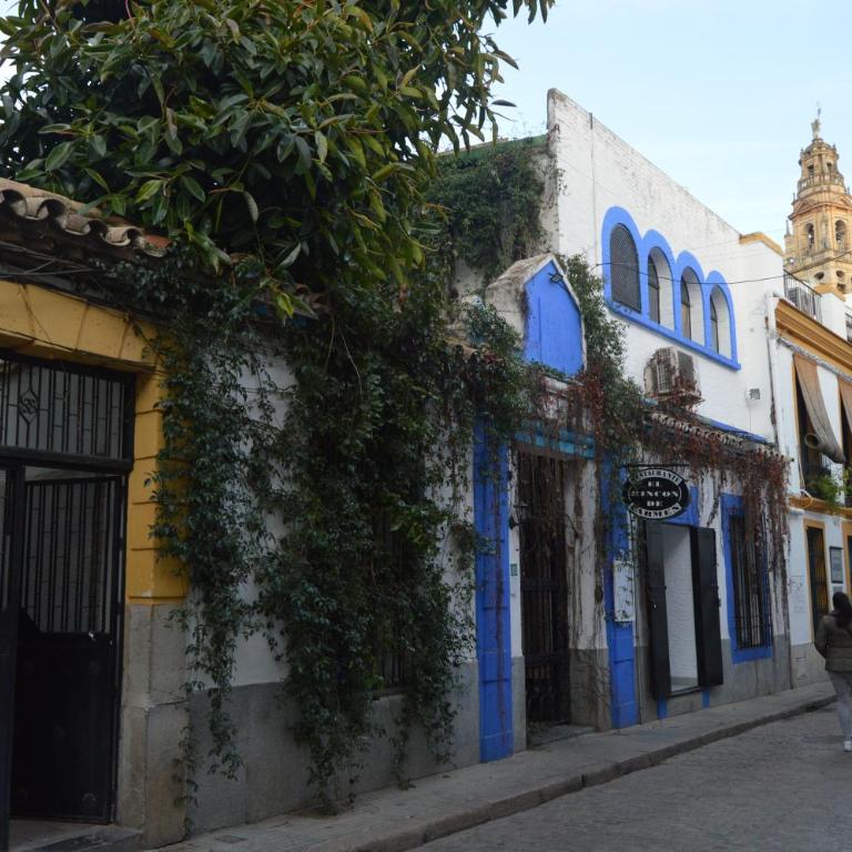 Romero 6 - Apartamento con encanto junto a la Mezquita - Apartamento de 1 dormitorio - 12