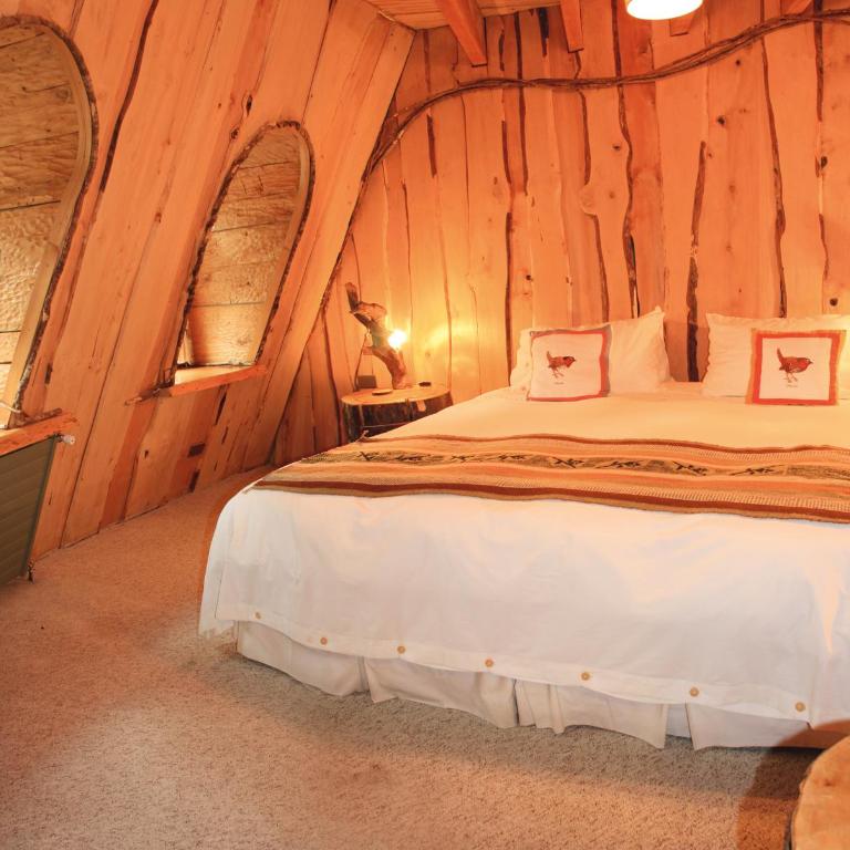 Huilo Huilo Montaña Mágica - Habitación Doble Estándar - 1 o 2 camas - 1