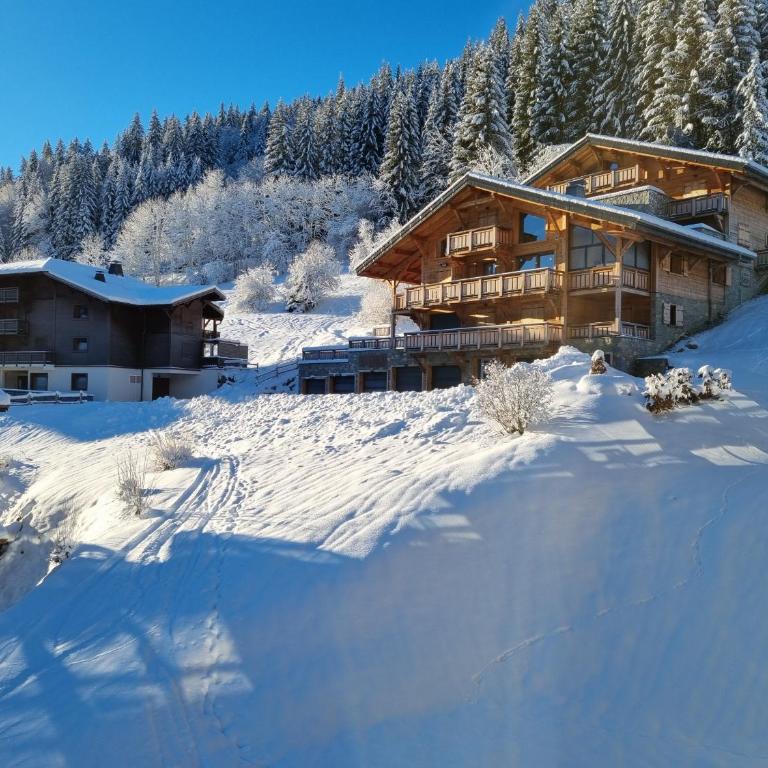 Major Apartment - Snow and Trek - Morzine - Appartement 2 Chambres - 24