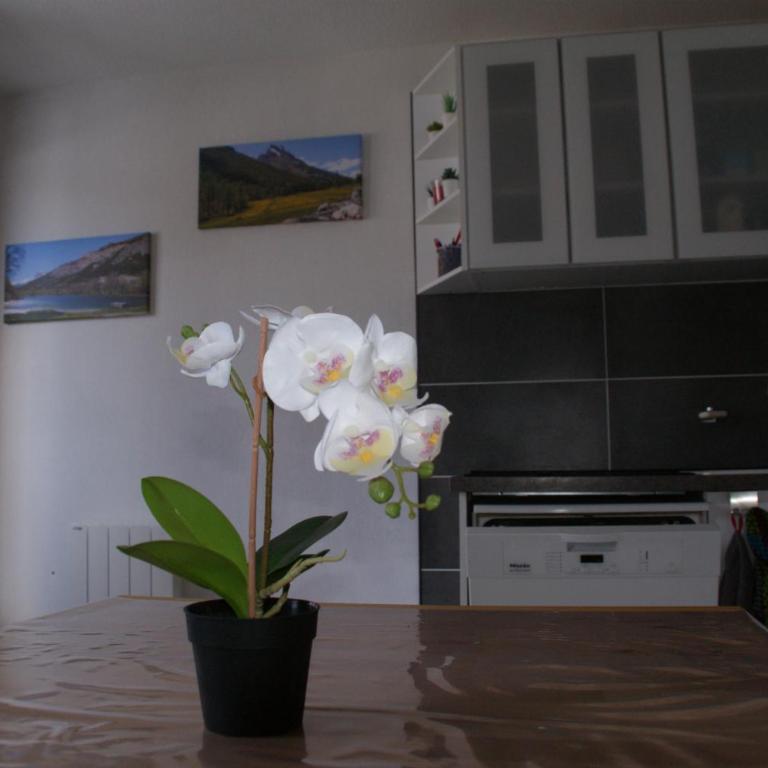 Le Guisanel - Appartement 2 Chambres - 25