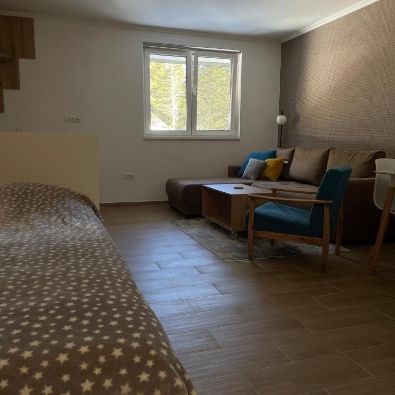 Vili.Kop studio - One-Bedroom Apartment - 13