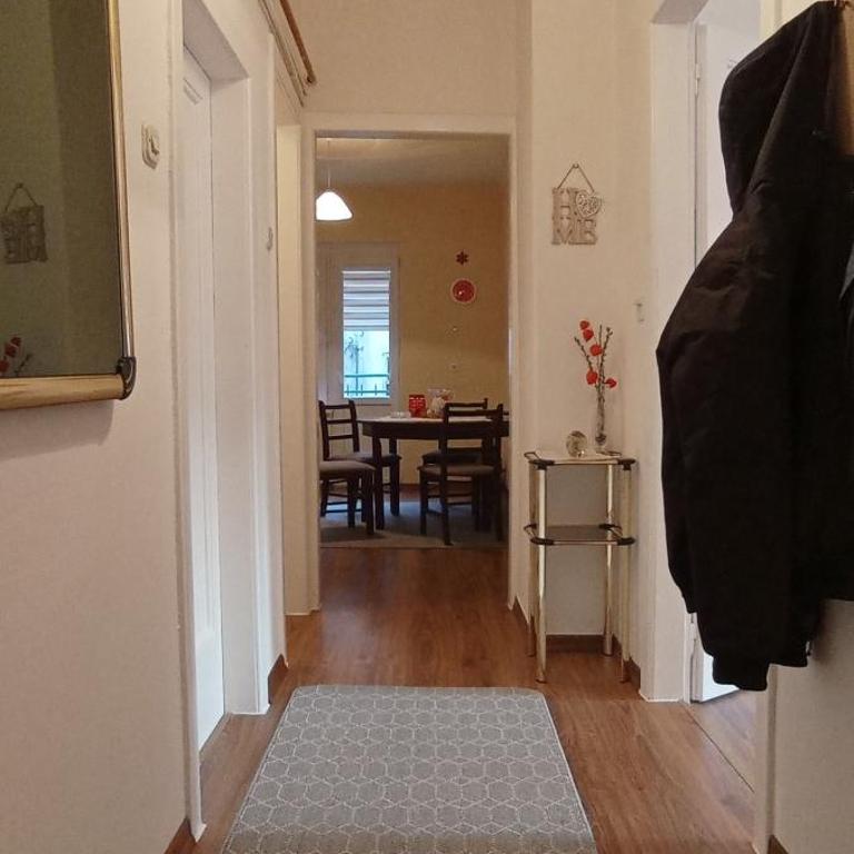 Apartments Dali - Apartman sa 1 Spavaćom Sobom - 9
