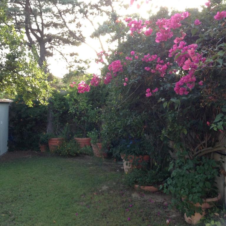 Deliziosa Villa 150 metri dal mare - Casa Vacanze - 5