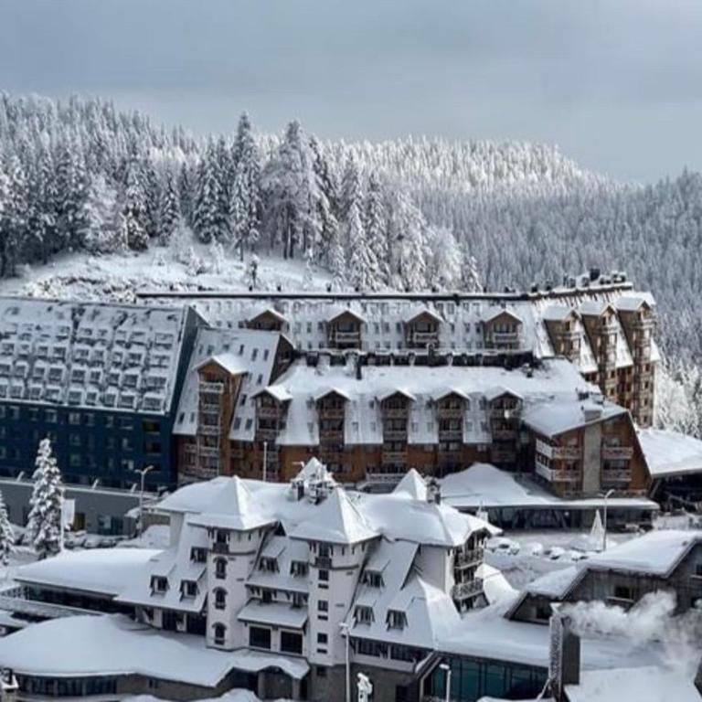 Penthouse Eleni - Olimpijska Kuca Jahorina - One-Bedroom Apartment - 37