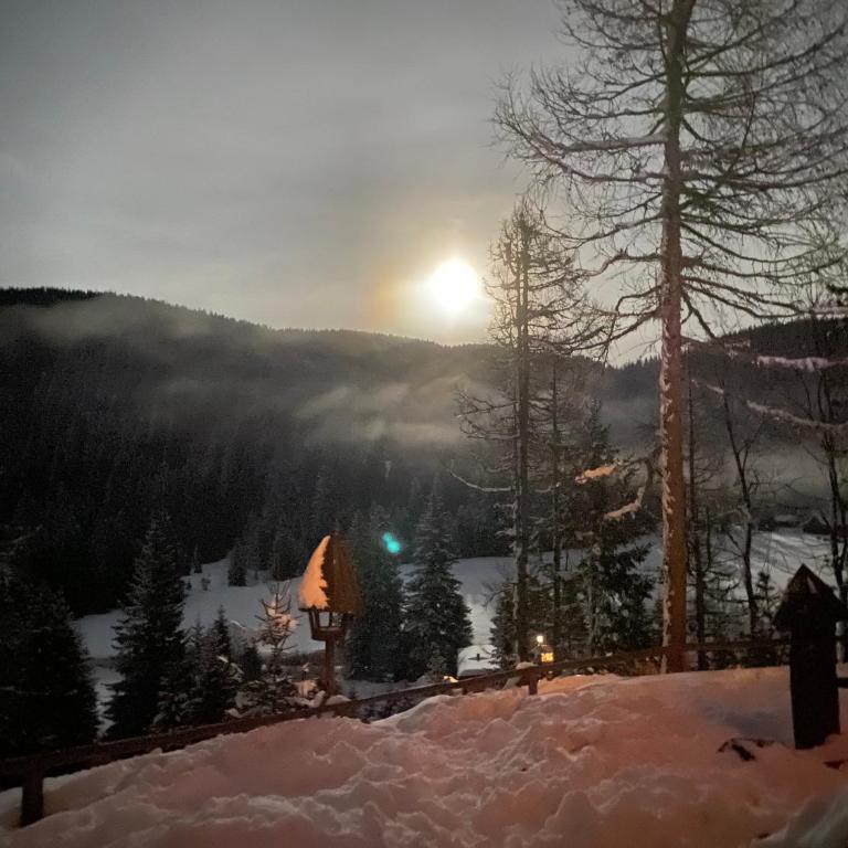 Almhaus Zirbenheim Nicolina - Haus mit 2 Schlafzimmern - 34