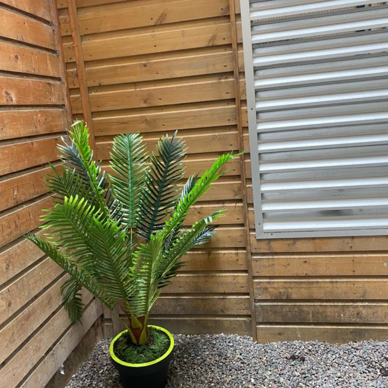 Avec JARDINET sans vis à vis Plein centre ville au RDC 350m de la plage - Appartement - Rez-de-Chaussée - 3
