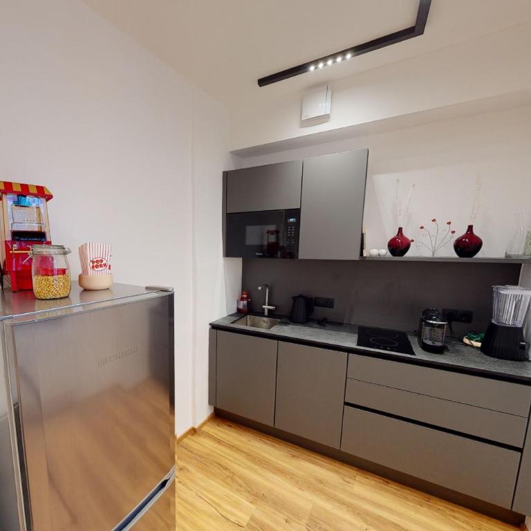 Hofgasse Apartments - ausschließlich für berufliche Aufenthalte - Apartment mit 1 Schlafzimmer - 15