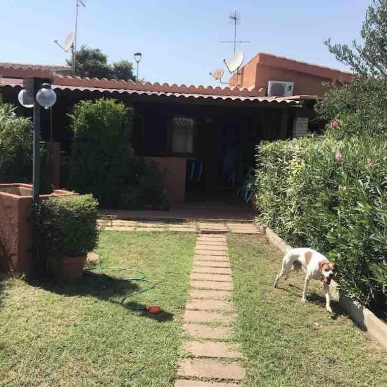 Villa Antonio - Casa con 1 Camera da Letto - 15