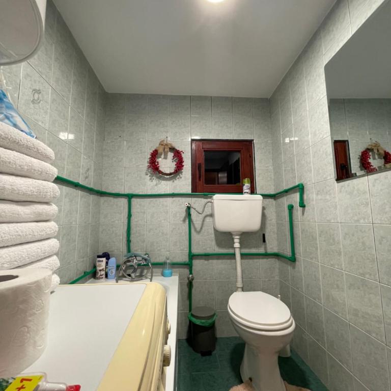 Cottage in the wild Pješčanica - Kuća sa 2 Spavaće Sobe - 16