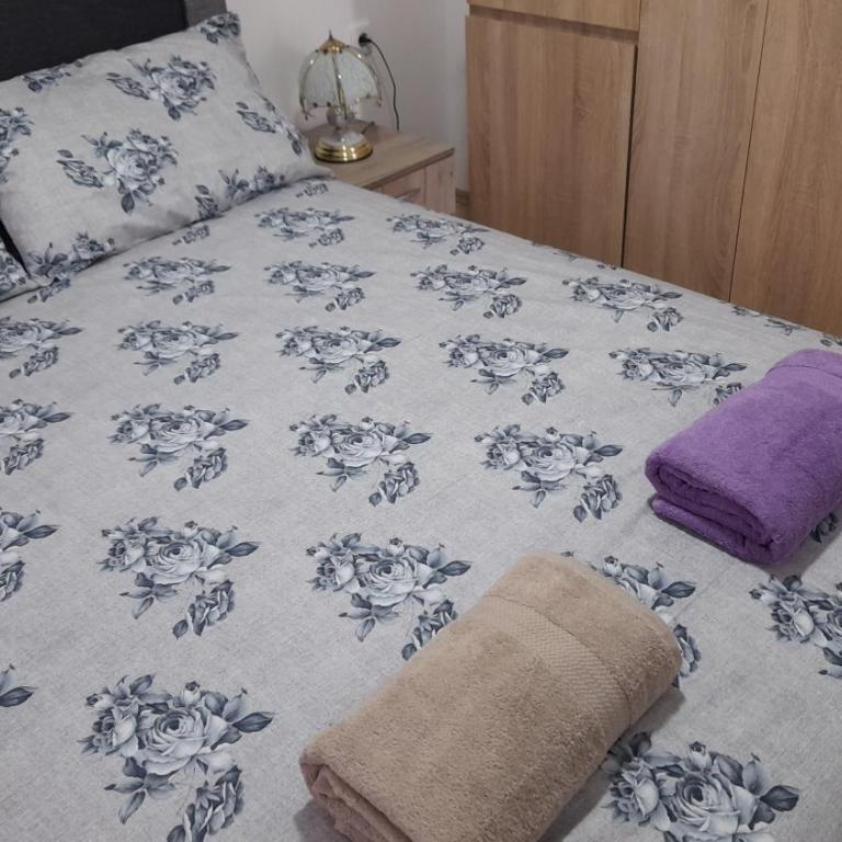 Apartmani Orion-Tara - Apartman sa 1 Spavaćom Sobom - 9