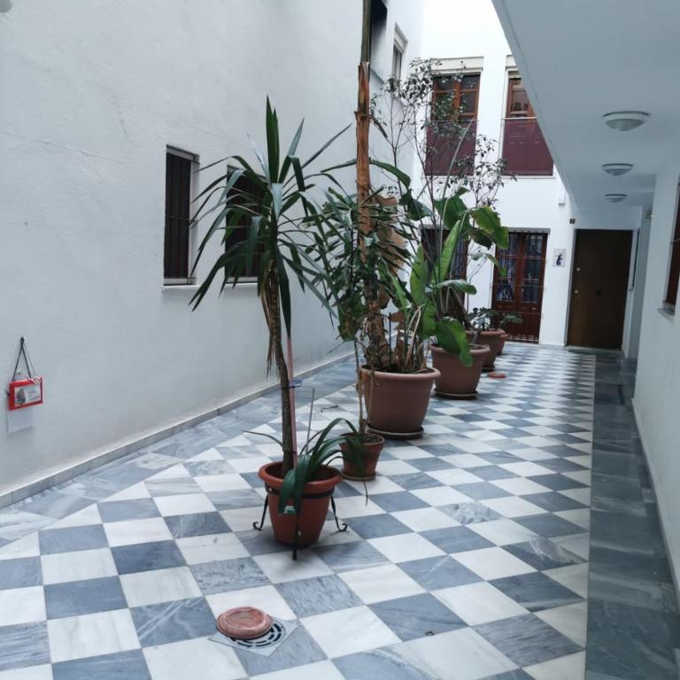 Casa Viento de Levante - Apartamento de 1 dormitorio - 28