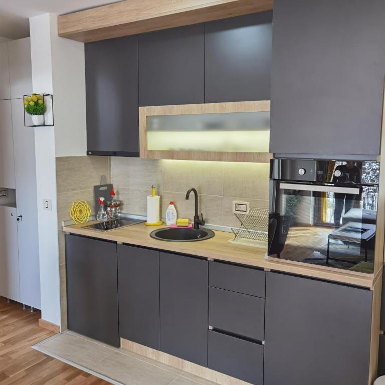 Apartman 37 Wellness@Spa Zlatibor - Apartman sa 1 Spavaćom Sobom - 8