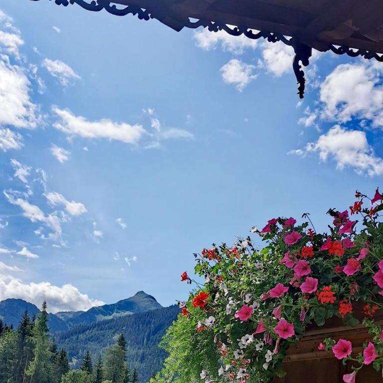Alpbach Loft - Apartment mit 3 Schlafzimmern und Bad - 39