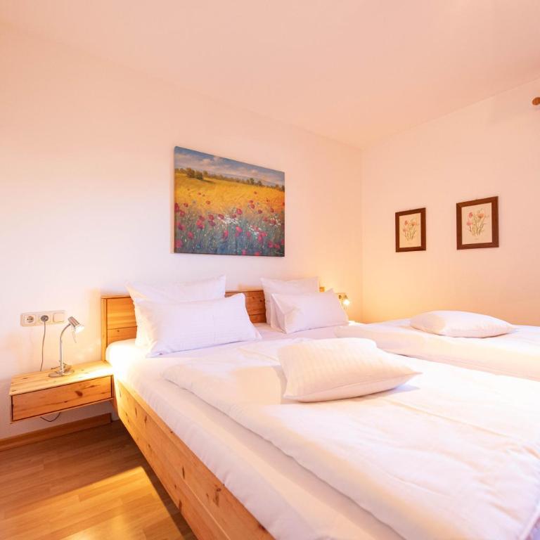 Kreuzeck - Apartamento con vistas a las montañas - 28