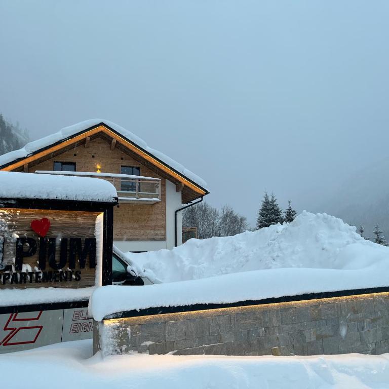 ALPIUM - Luxusappartements - Apartment mit Blick auf die Berge - 27