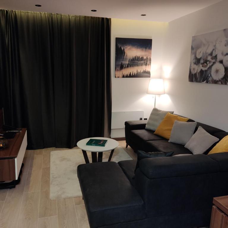 Pahulja Kop 48 Zoned II Kopaonik - Appartement 1 Chambre - 13