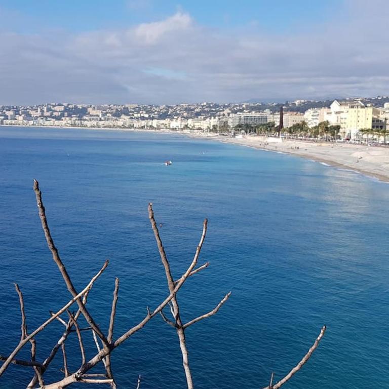 Studette en plein cœur du Vieux Nice - Studio - 7