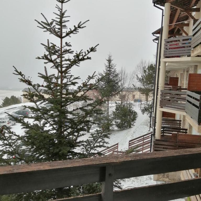 Soleil et Montagne Bâtiment E - Apartment mit 1 Schlafzimmer - 24