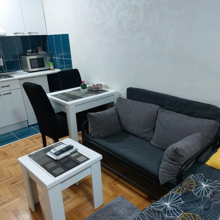 Apartman Obadovic - Apartman sa 1 Spavaćom Sobom - 8
