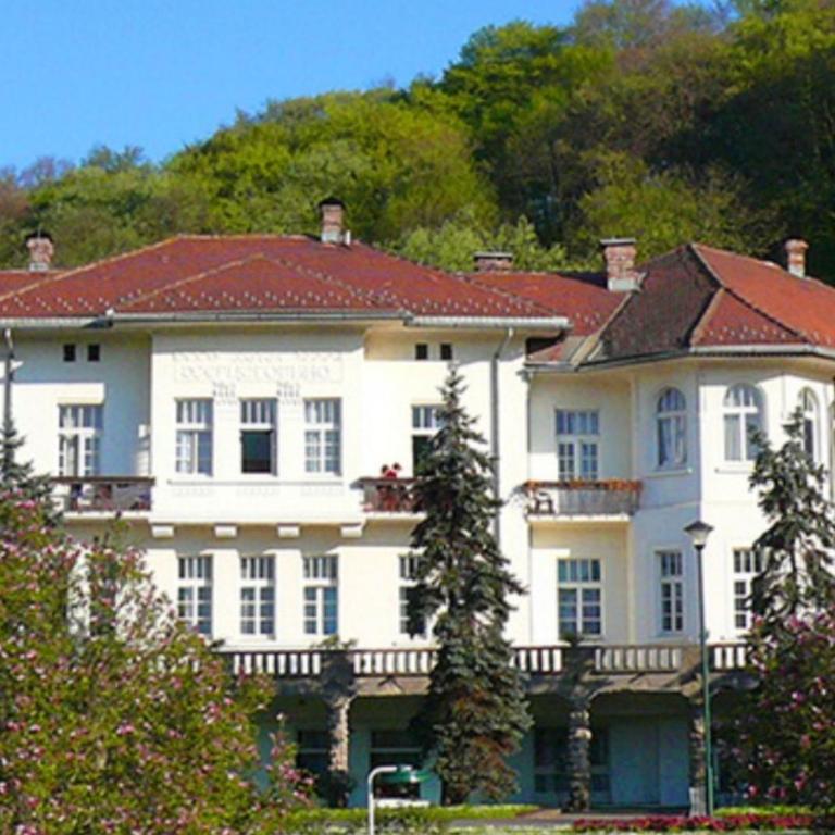 Apartman Obadovic - Apartman sa 1 Spavaćom Sobom - 10