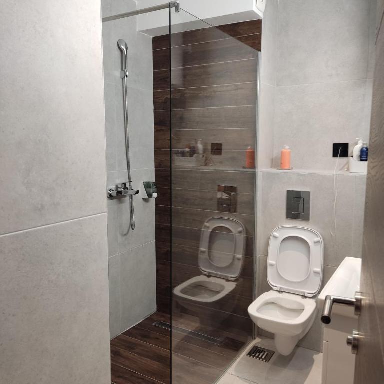 Pahulja Kop 48 Zoned II Kopaonik - Appartement 1 Chambre - 21
