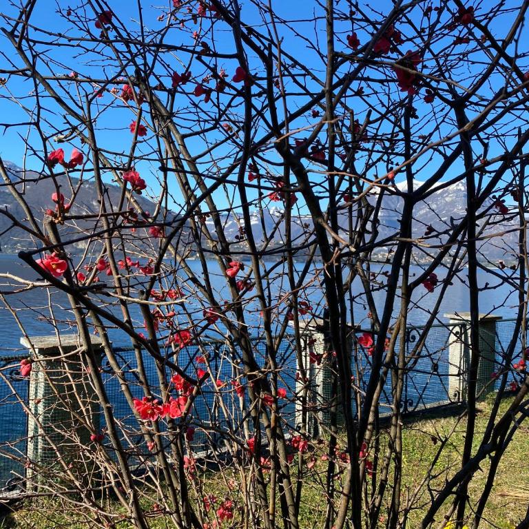 La Casetta Varenna - Casa Vacanze - 67