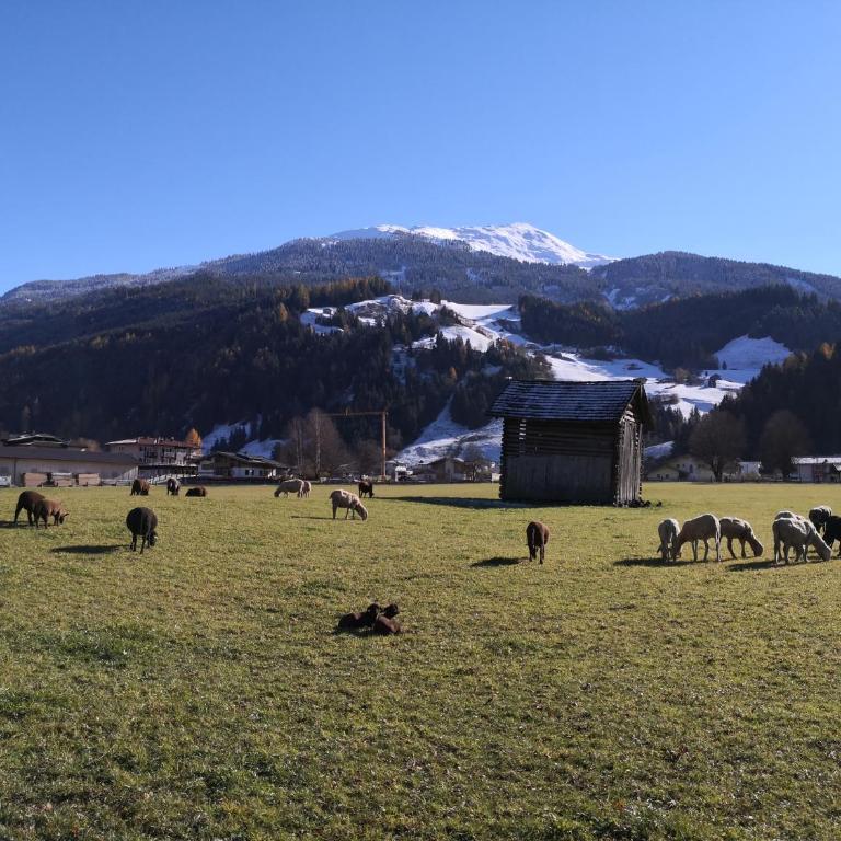 STEIN & SCHNEE - Bramberg - Ferienhaus - 45