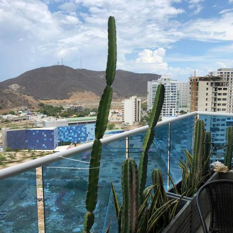 Hermoso apartamento con ingreso directo a la playa - Apartamento de 2 dormitorios - 32