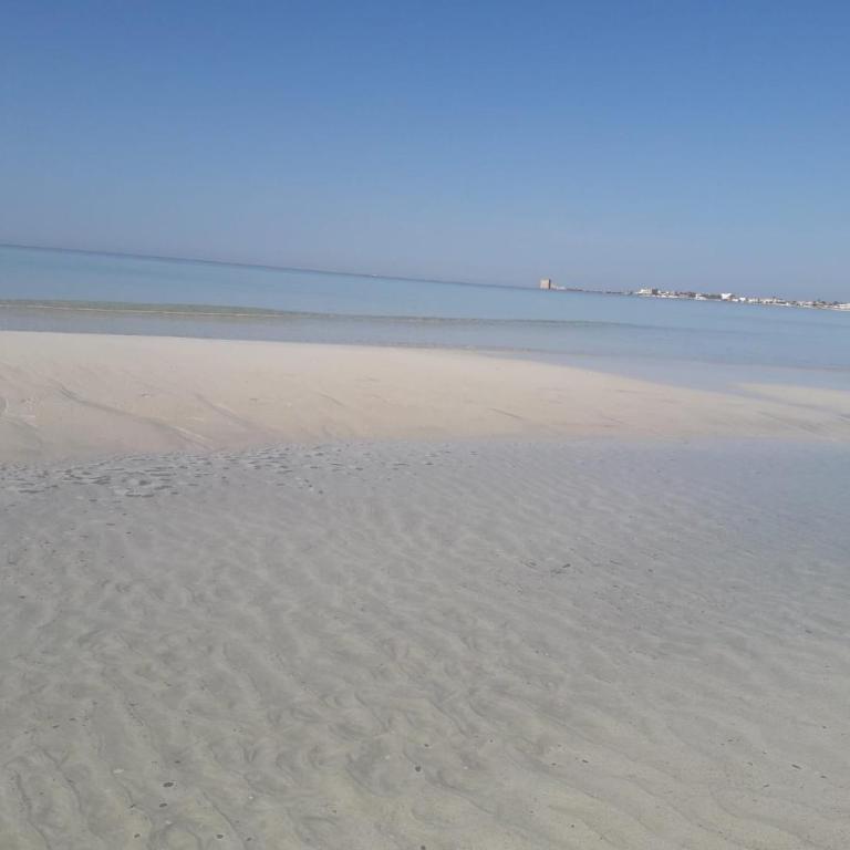 appartamento a 20 metri dalla spiaggia - Appartamento - 15