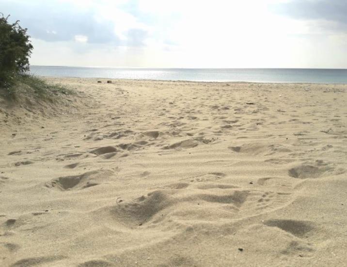 appartamento a 20 metri dalla spiaggia - Appartamento - 16