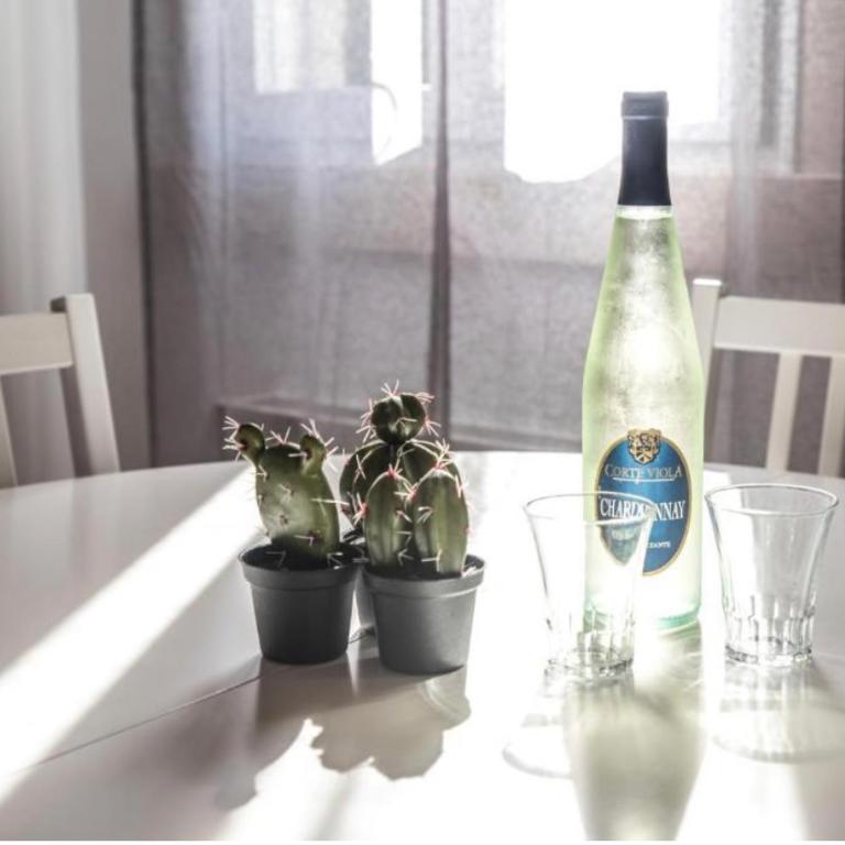 SALAMON GUEST HOUSE - Deluxe Apartment - 1